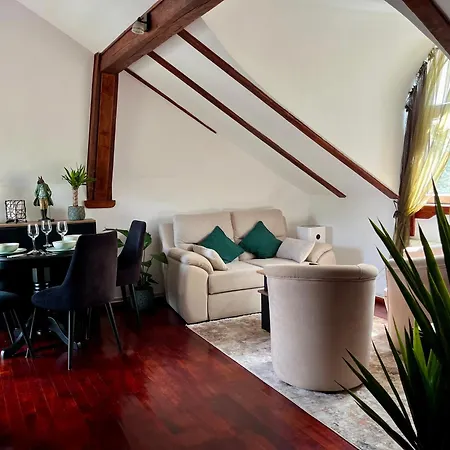 Urban Oasis Apartament *